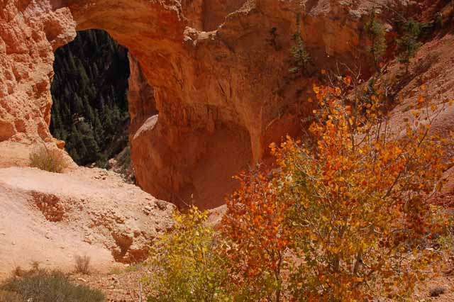 Natural Bridge